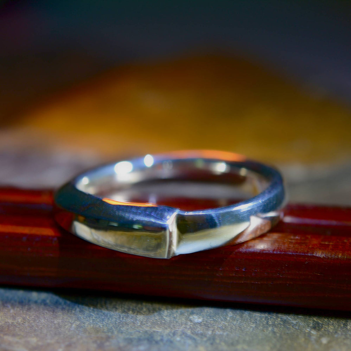 Uroboros #2 Silver Ring