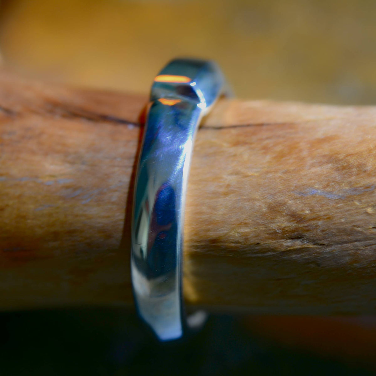 Uroboros #2 Silver Ring