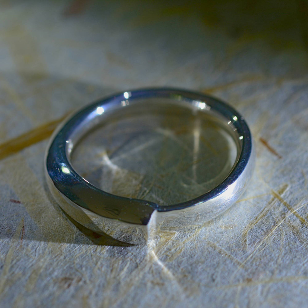 Uroboros #2 Silver Ring